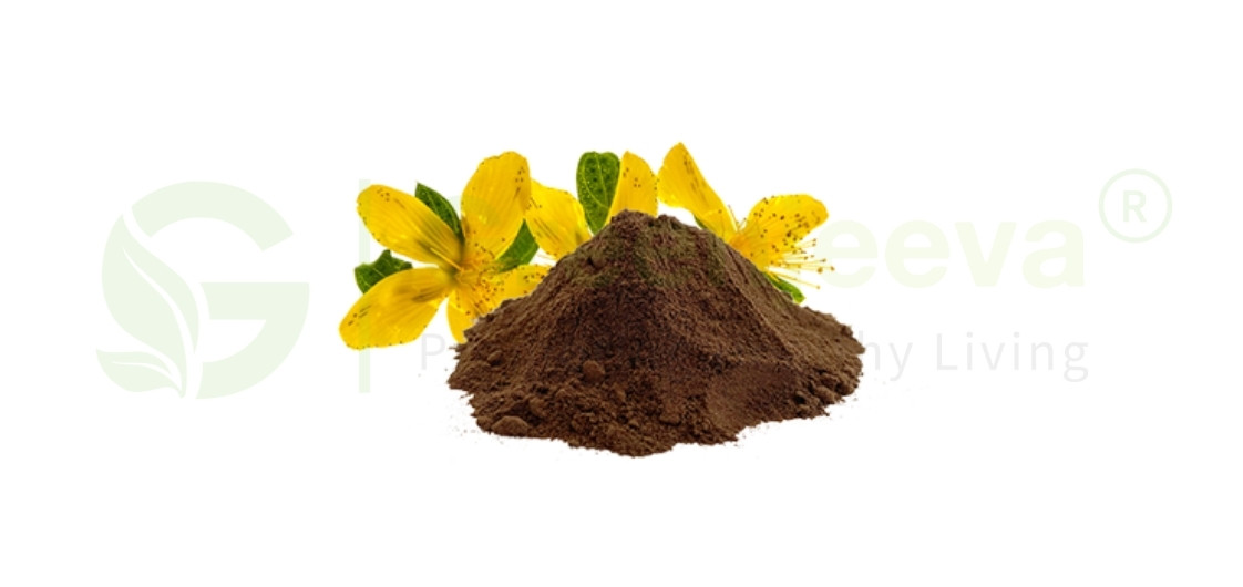 Organic St. John's Wort Powder Vs Synthetic Alternatives 